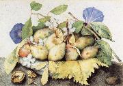 Giovanna Garzoni Plate of Plums with Jasmine and Nuts oil painting